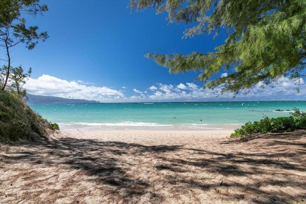 Unit 7 Maui Ohana Modern Studio Wailuku Bagian luar foto
